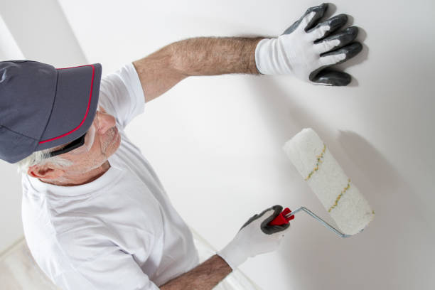 Best HVAC Mold Inspection and Cleaning  in Meridian, PA