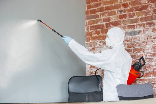 Best Mold Remediation for Healthcare Facilities  in Meridian, PA